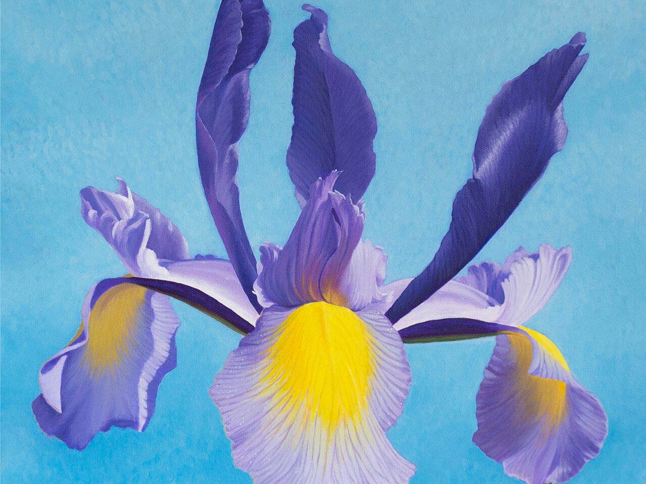 Original acrylic painting of Iris by Mariya McAllister