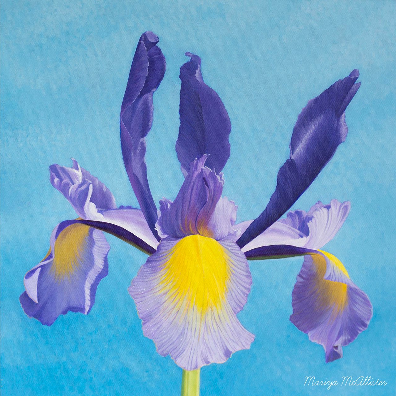 Original acrylic painting of Iris by Mariya McAllister