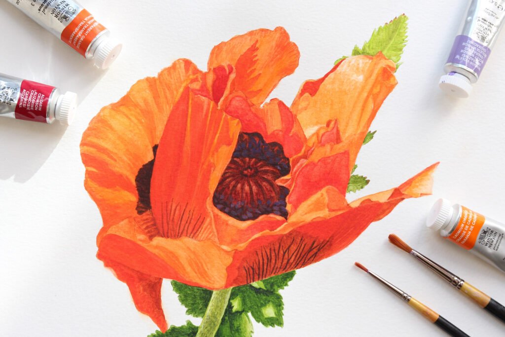 "Poppy" Watercolour painting workshop