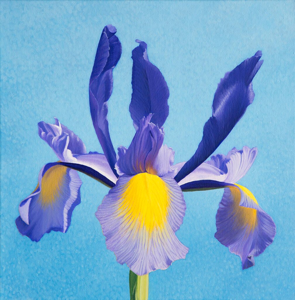 "Dutch Iris" Acrylic - Sat 10am-1pm - Colchester