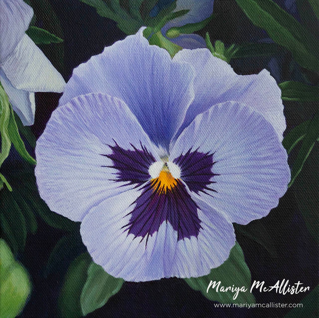 Pansy painting