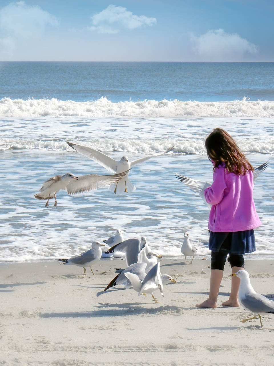 "Seagulls" Watercolour - Wed 10:30
