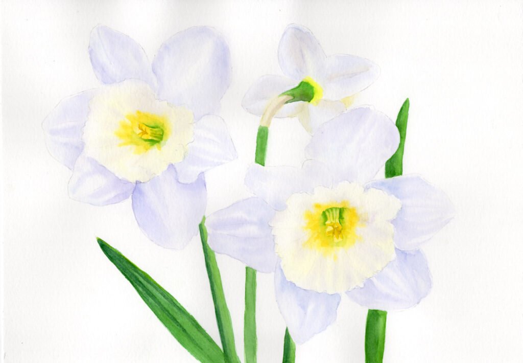 "Clematis" Watercolour - Thu 10am - Walton on the Naze